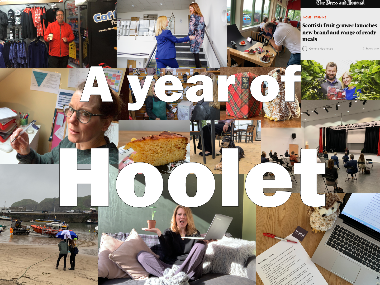 hoolet start-up experience